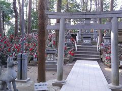 ̂˖т̗ϒ˂ւ̓eʐ^1