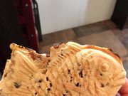 ܂邳̐󑐘QԉƂ̓eʐ^1