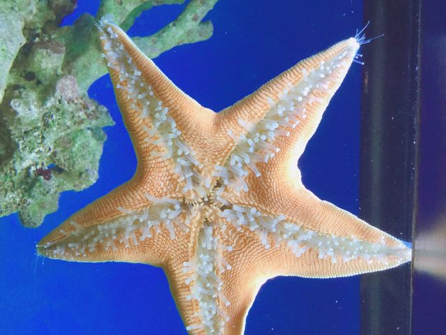 �C�����������ǂ����ƌ��Ă��܂��c_�Ȃ���������