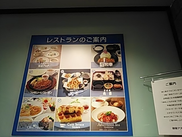 ݂Olive House̓eʐ^1