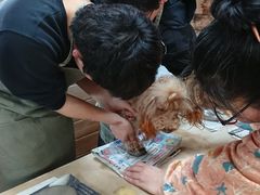 MIMIKO̓|̌@TH[ւ̓eʐ^1