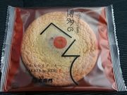 񂿂񂳂̍q@{X̓eʐ^1