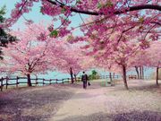 CARS4����̏�R���j�����^�͒Í��̓��e�ʐ^1