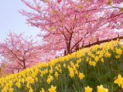 CARS4����̏�R���j�����^�͒Í��̓��e�ʐ^3