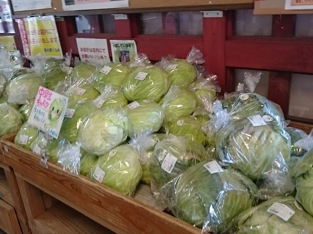 �L���x�c����������_���̉w �����