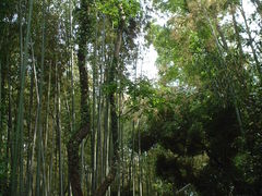 ۂɂ傳̒|т̓ւ̓eʐ^1