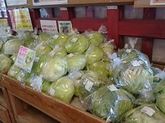 ܂܂̓̉w ߂ւ̓eʐ^1