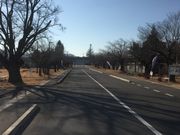 Ƃ񂳂̒}gCRqLOق̓eʐ^2