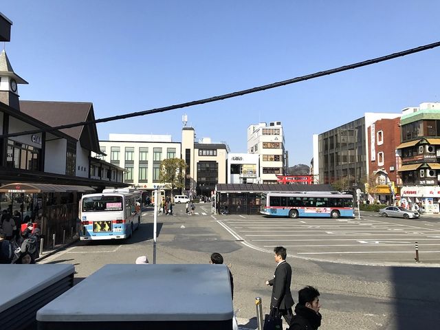 �i�q���q�w �������̗l�q_�i�q���q�w