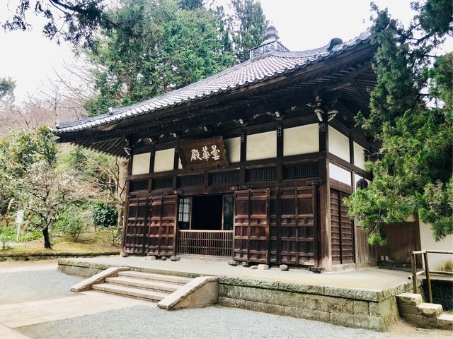 �y���a (��q��)�z�w�܉ؓa�x_���a (��q��)