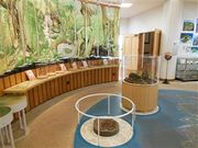 ÐhF̉쐶یZ^[̓eʐ^4