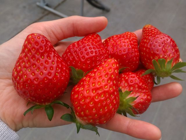 �����s�������̓^�C�~���O���ǂ������̂��A�傫���ĐԂ������������\����܂����B_���������̋��@���V�������_��