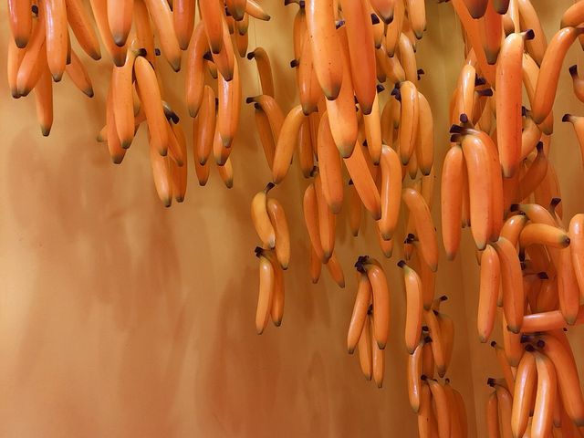 �o�i�i_PAPEPO MUSEUM �p�y�|�~���[�W�A��