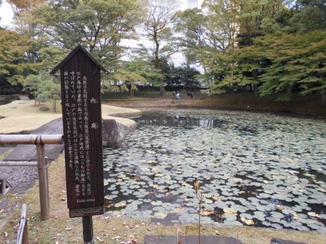 ����_����i���ΐ��y���j