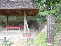 �g�V���[����̊ۉ��i���ΐ��y���j�ւ̓��e�ʐ^1