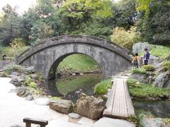 gV[̉~ (ΐy)ւ̓eʐ^1