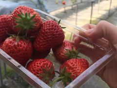 傱炳̃t[cK[f܂ւ̓eʐ^1