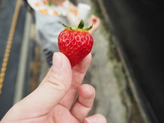 chiro1515̃zeBL˂ւ̓eʐ^1