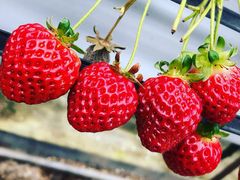 䂳͖̉쉀|ւ̓eʐ^1