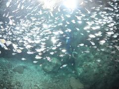 ݂˂̃sN}[Chւ̓eʐ^2