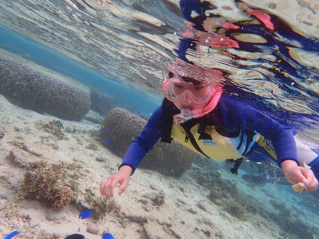 �q���̎ʐ^���R�B���Ă��炢�܂����I_�V���m�[�P�����{�@�I�L�i��