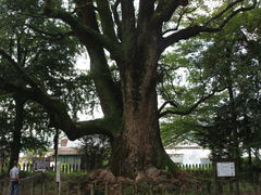 ����������̏��k�̃N�X�ւ̓��e�ʐ^1