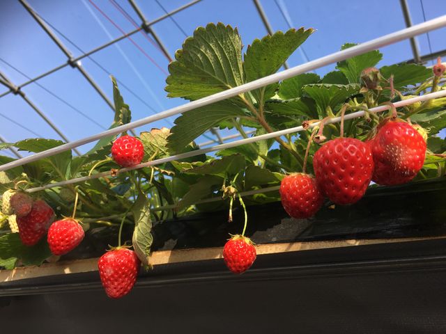 �Á`��䕂���_���͂�_��