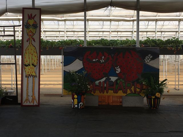 �I�u�W�F�H�I_���͂�_��