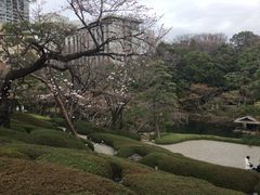 �^�Ⴓ��̔��F���ւ̓��e�ʐ^1