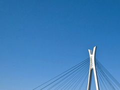 �炢������̒����勴�ւ̓��e�ʐ^1