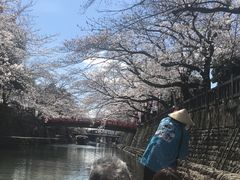 �ׂ邳��̐��̓s���������M����ւ̓��e�ʐ^1