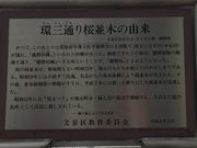 apple̔d₳؂̓eʐ^1