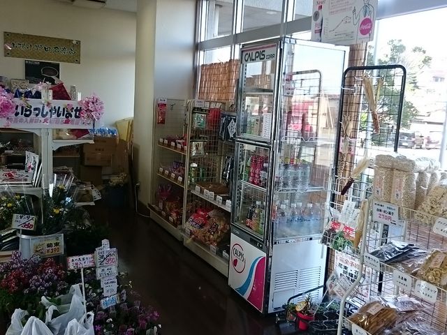 ���X������܂�_�R�z����c�s�h�����C�{�݂����𗬊�