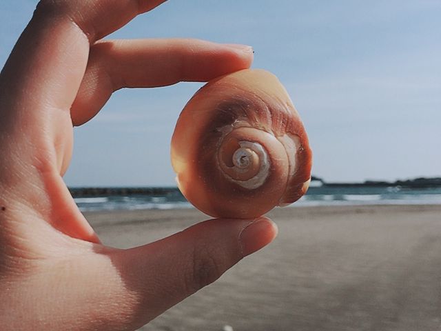 �V�[�R�~���O���́A���l���������˂���̂ŃT���O���X������ƕ֗��ł��B_��h�C��