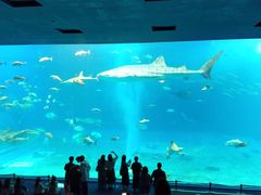 �������C�����ق̎ʐ^1