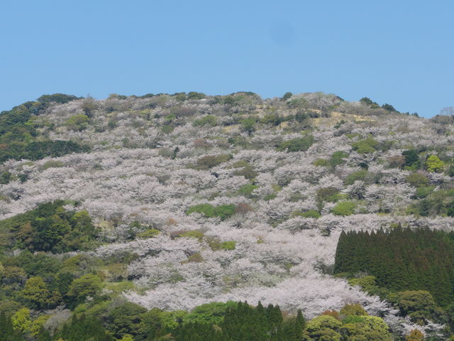 �R�̑S�̑�_�ԗ�����