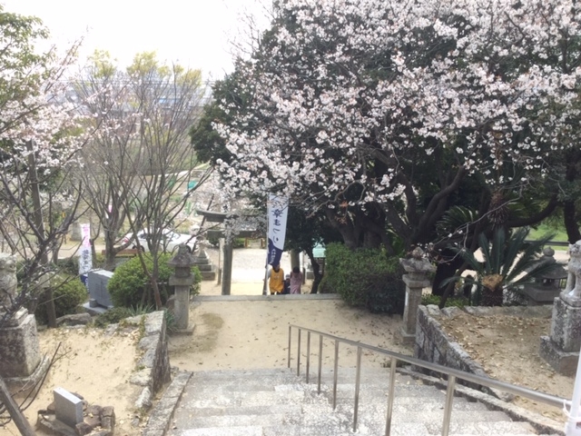 �������Q������_���g�_��