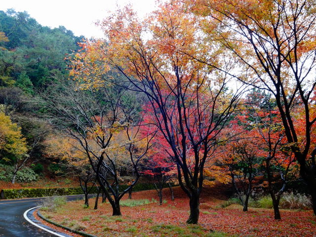 bREbhCuEFC̍gt_bREbhCuEFC̍gt