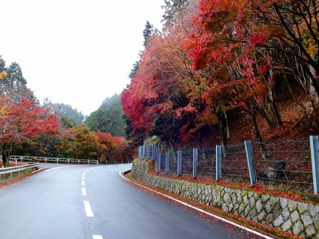 bREbhCuEFC̍gt_bREbhCuEFC̍gt