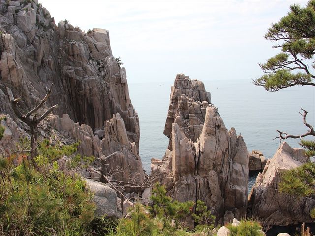 jkammy07̖僖̓eʐ^2