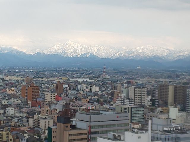 富山市役所展望塔
