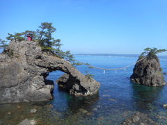 ���Ⴝ�낤����̋@���̓��e�ʐ^1