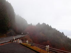 しどーさんの比叡山ドライブウェイの投稿写真2