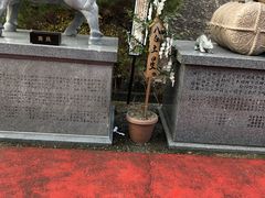 ̂肿񂳂̔蔪{ւ̓eʐ^1