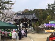 602������̍��g�_�Ђ̓��e�ʐ^1