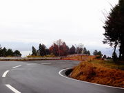 ǁ[̔bRhCuEFC̓eʐ^1