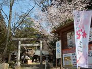 jkammy07̟N镔_Ђ̓eʐ^1