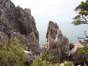 jkammy07����̖僖��̓��e�ʐ^2