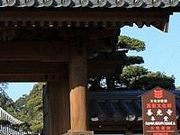 tXs[h̑Pi啪Fsj̓eʐ^1