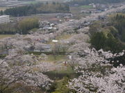 ��������̕�q�u�̍��̓��e�ʐ^1